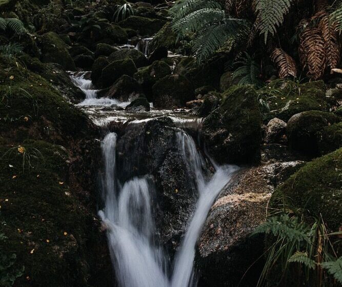 בית מלון כפרי Maruia River Retreat