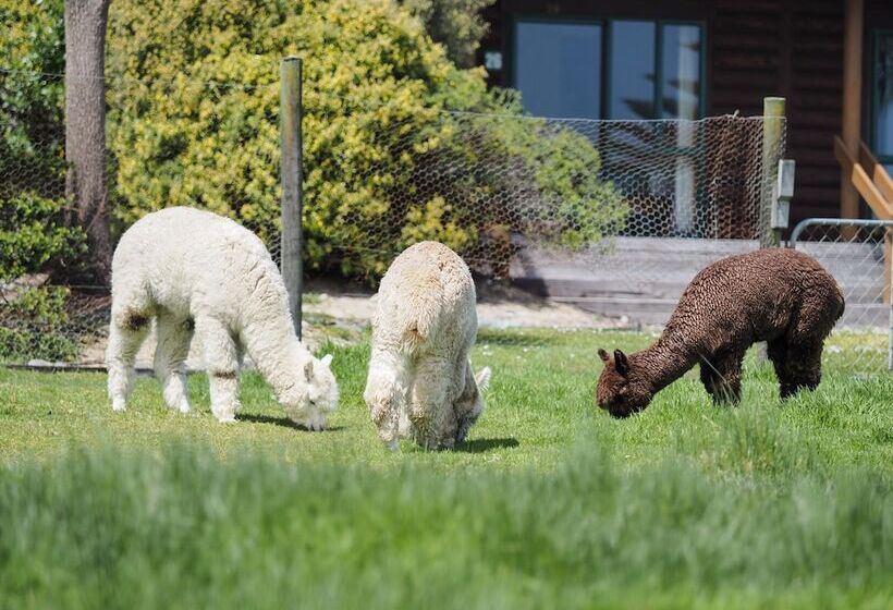 هتل Shining Star Beachfront Accommodation