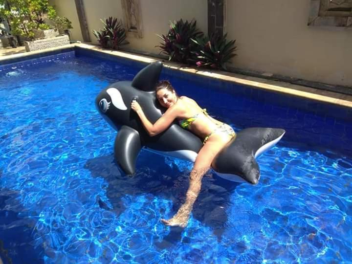 ユースホステル Sunrise Backpacker