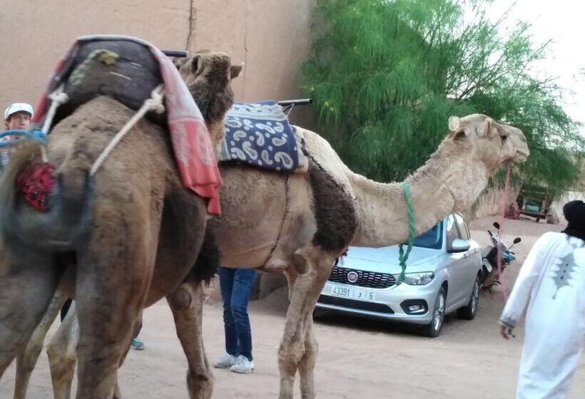 Authentique Riad M Hamid