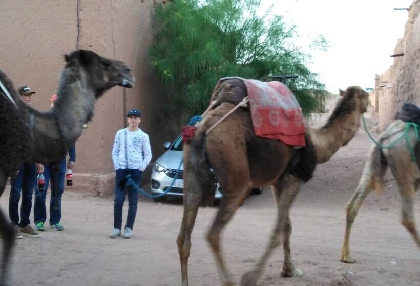 Authentique Riad M Hamid