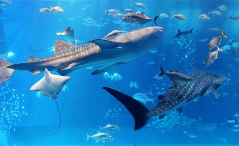 Cottage Seawind Nakijin