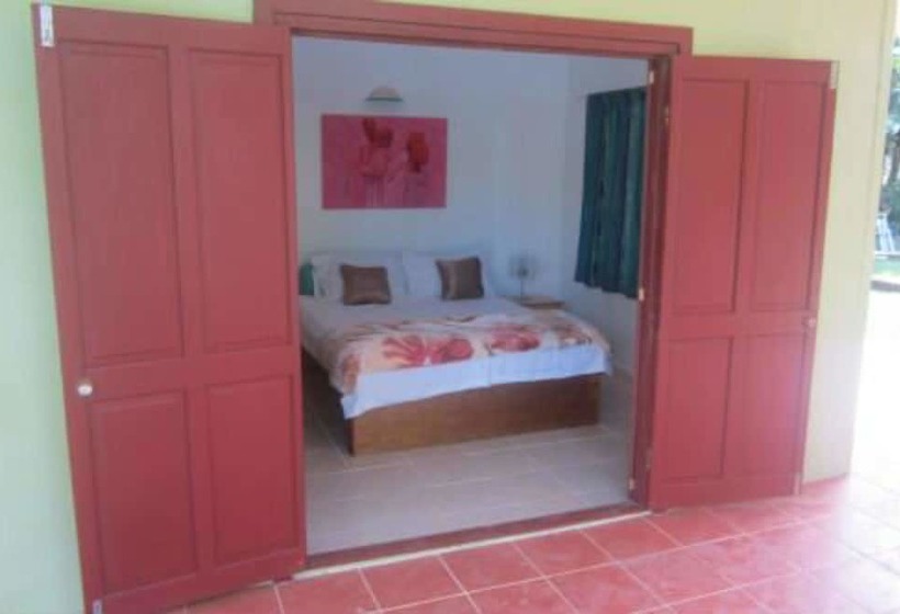 Golden Palms Retreat