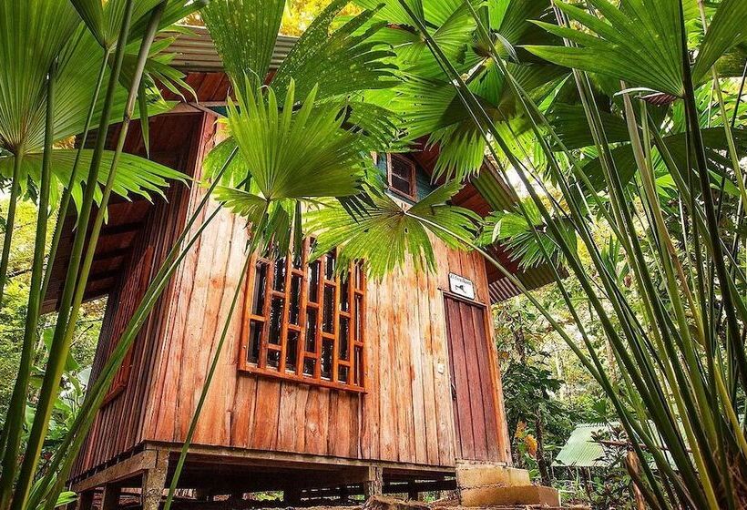 هتل Cacao Monkeys