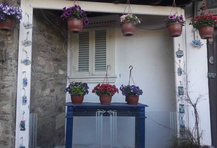 酒店 Doktor Un Evi Deluxe Boutique