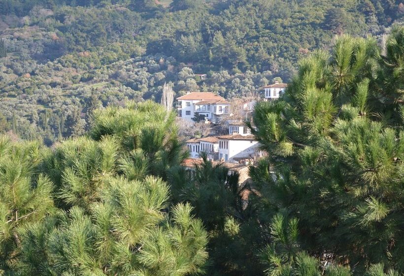 酒店 Doktor Un Evi Deluxe Boutique