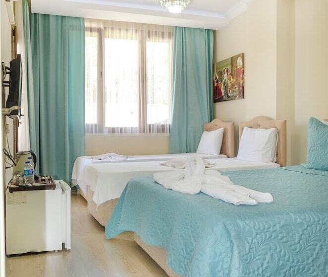 酒店 Ephesus Palaces