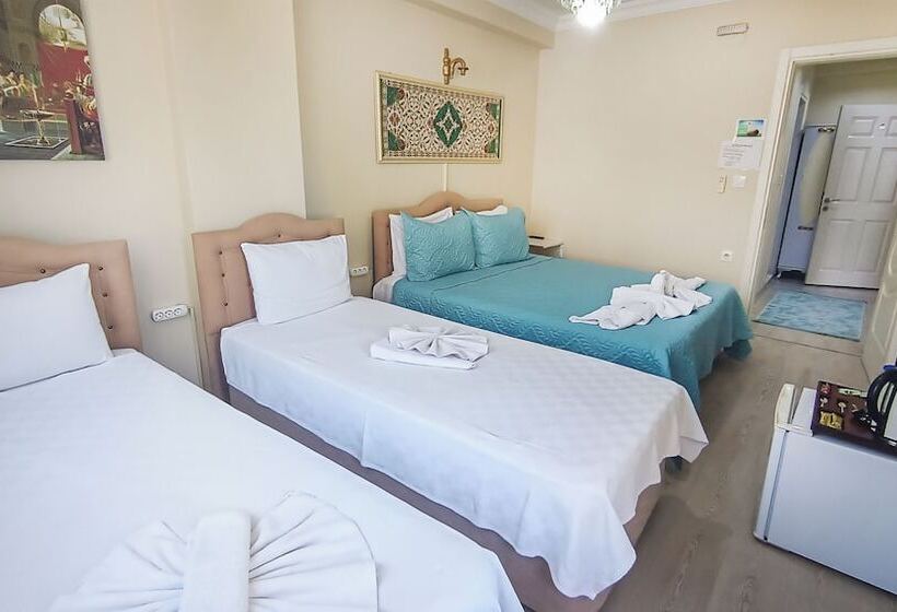 酒店 Ephesus Palaces