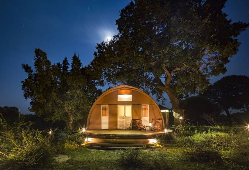ホテル Leopard Nest   Glamping In Yala