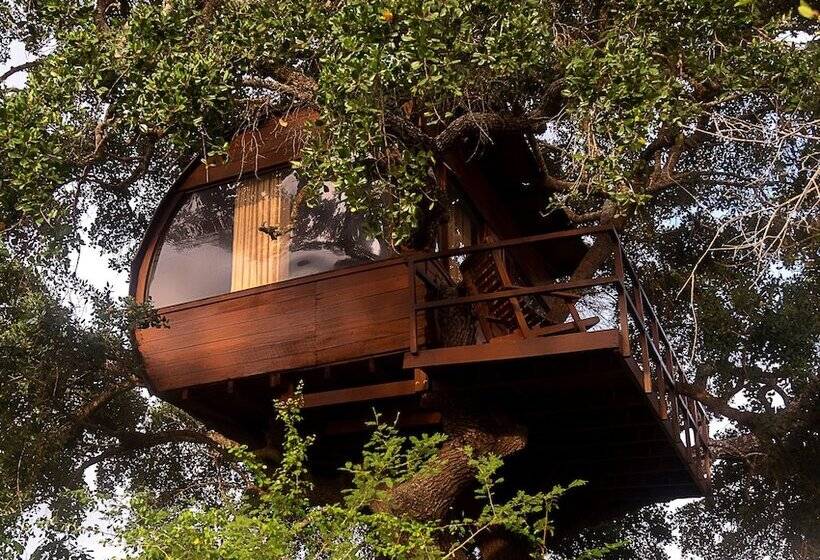 酒店 Leopard Nest   Glamping In Yala