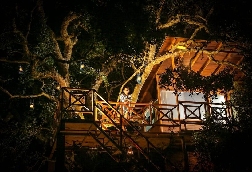 酒店 Leopard Nest   Glamping In Yala