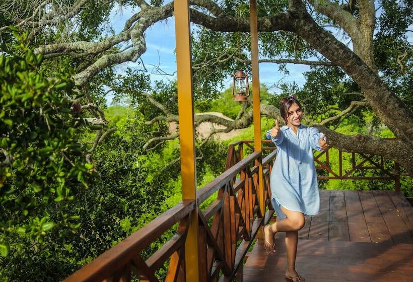 酒店 Leopard Nest   Glamping In Yala