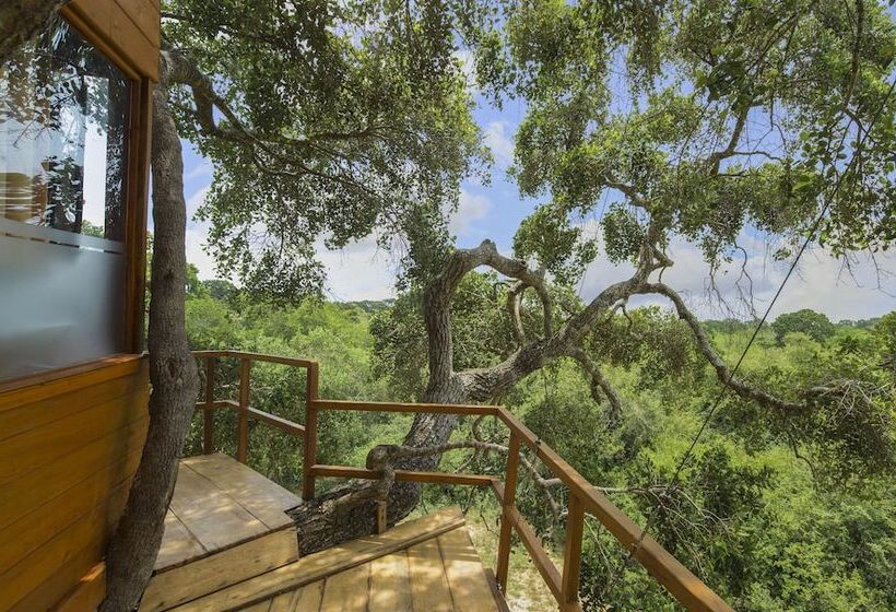 ホテル Leopard Nest   Glamping In Yala