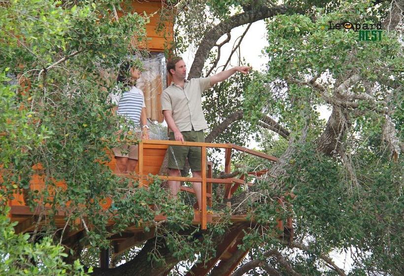 酒店 Leopard Nest   Glamping In Yala