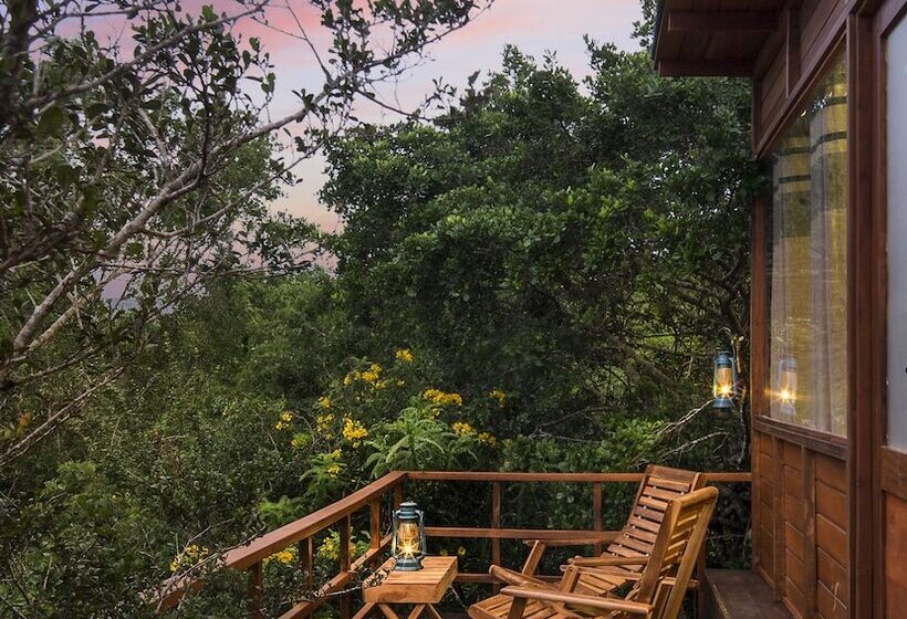 酒店 Leopard Nest   Glamping In Yala