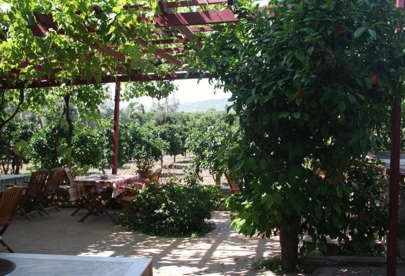 هتل Manganos Apartments