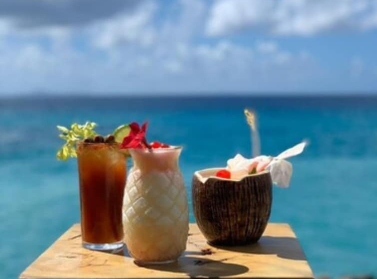 هتل The Liming Bequia
