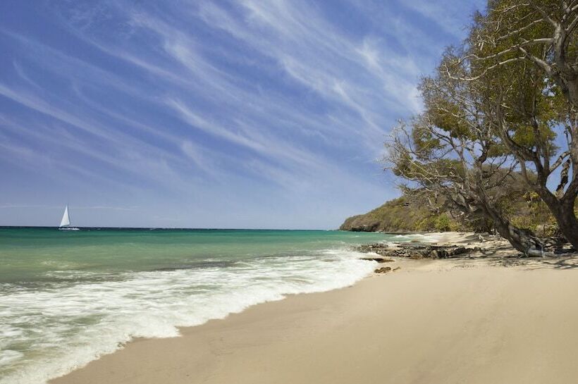 هتل The Liming Bequia