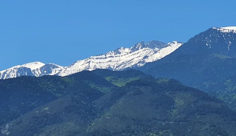 ホテル Xenios Dias Boutique