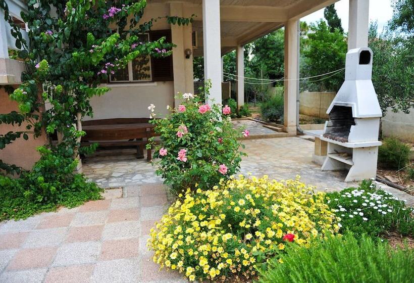 膳宿费 Apartments Cola