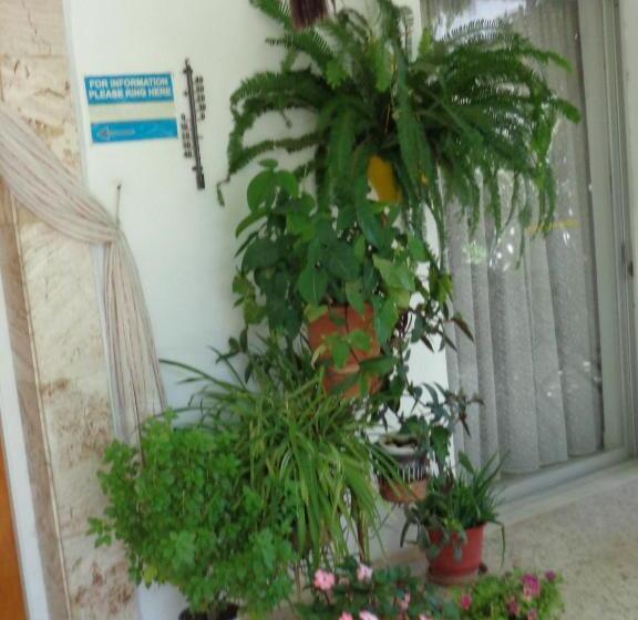 ペンション Savas Rooms