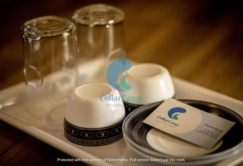 酒店 Vijaya Hill View Residency