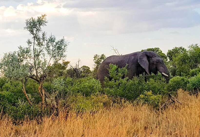 호텔 Ouklip Game Lodge