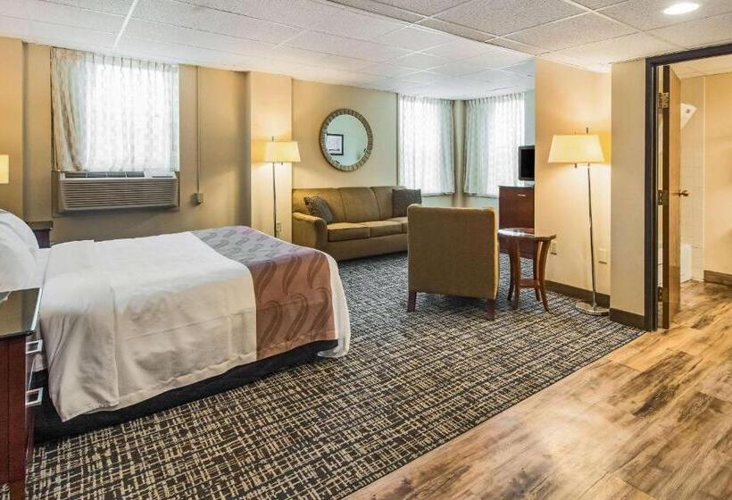 호텔 Quality Inn & Suites