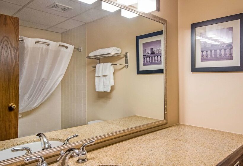 호텔 Quality Inn & Suites