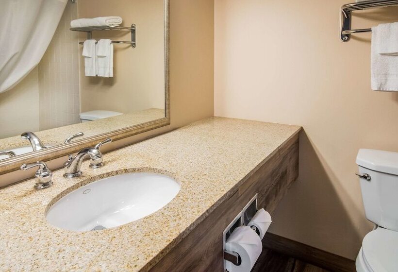 호텔 Quality Inn & Suites