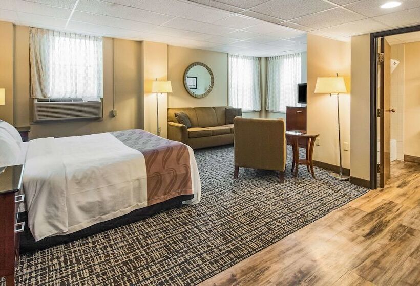 호텔 Quality Inn & Suites