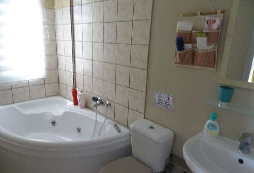 膳宿费 Artemis Greenhill