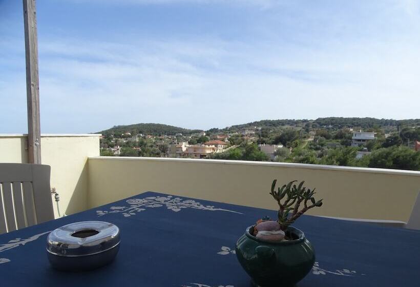 膳宿费 Artemis Greenhill