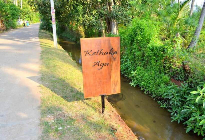 Пансион Kethaka Aga