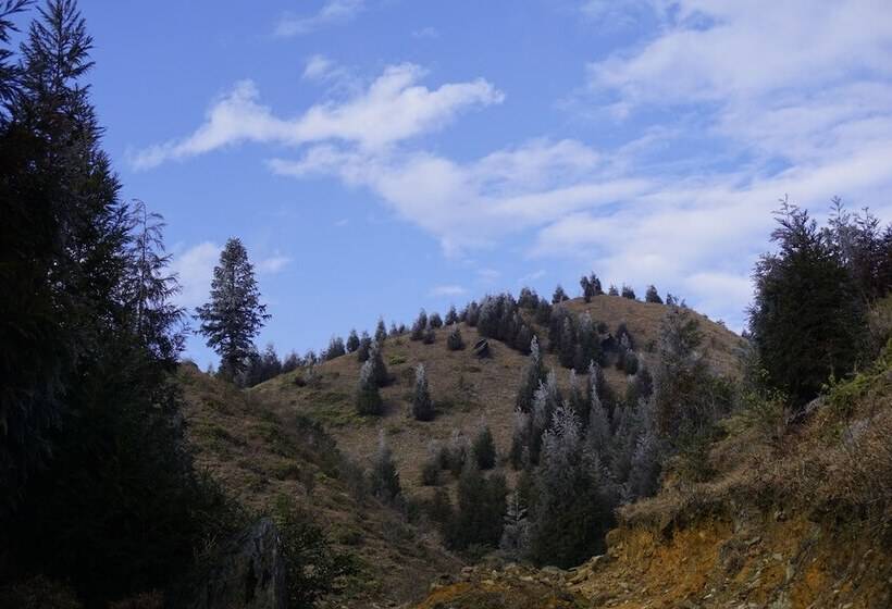 بنسيون Longji Rice Terraces Hostel