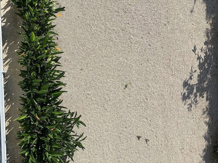 Phetcharat Grand Hotel Maesot