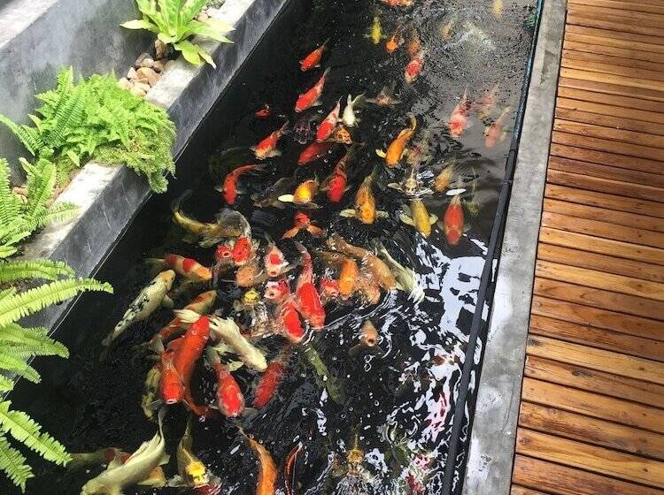 Phetcharat Grand Hotel Maesot