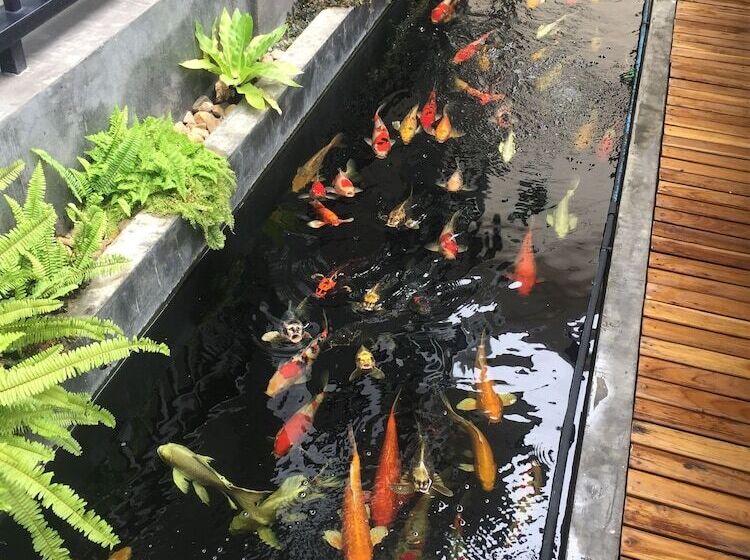 Phetcharat Grand Hotel Maesot