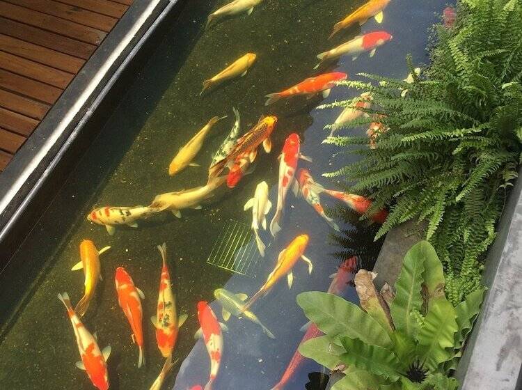 Phetcharat Grand Hotel Maesot