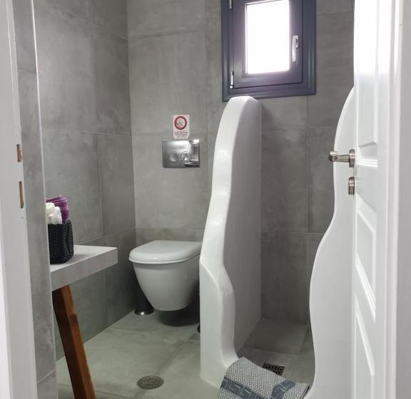 Sand Lily Villa Mykonos