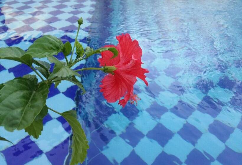 住宿加早餐 Palm Bamboo