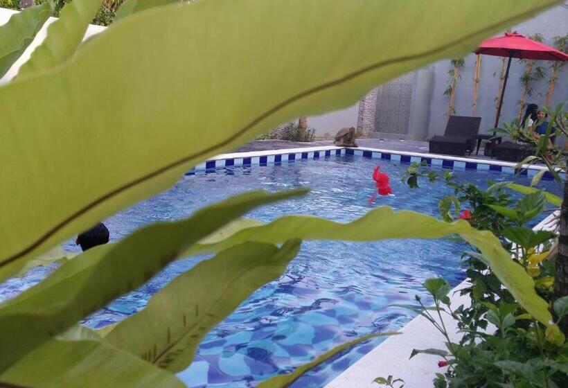 Bed and Breakfast Palm Bamboo