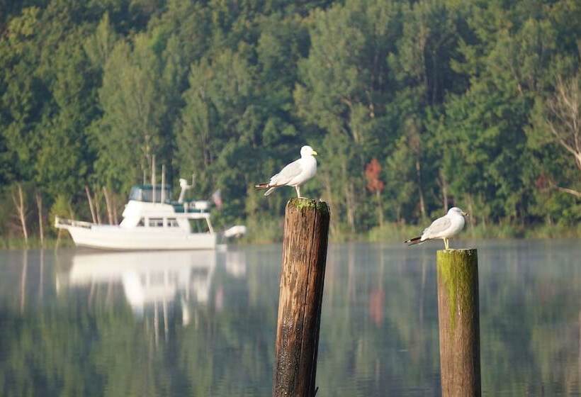 مبيت وإفطار The Swan House