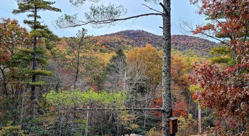 Blue Ridge Parkway Cabin Rentals