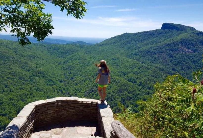 Blue Ridge Parkway Cabin Rentals