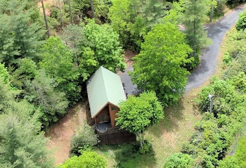 Blue Ridge Parkway Cabin Rentals