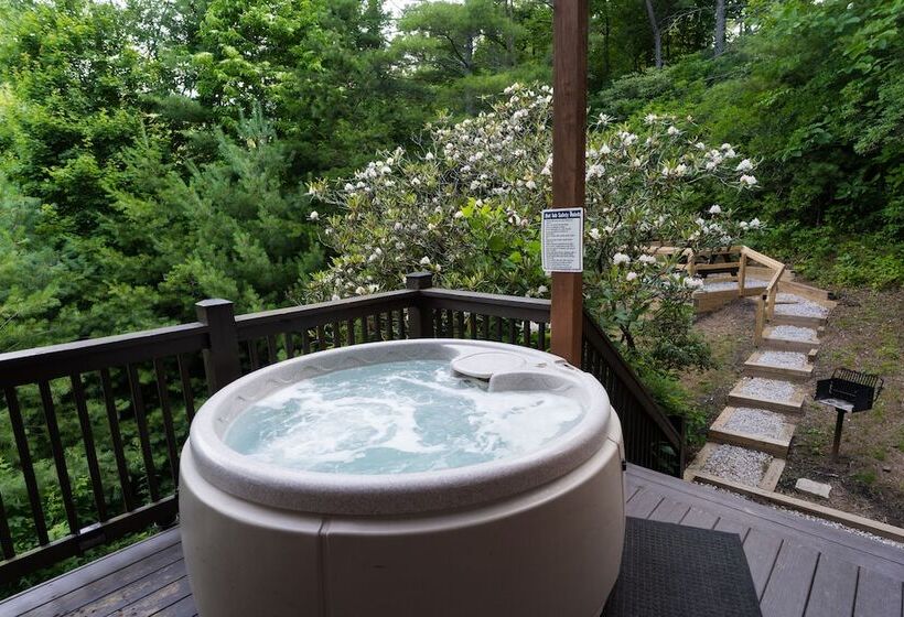 Blue Ridge Parkway Cabin Rentals