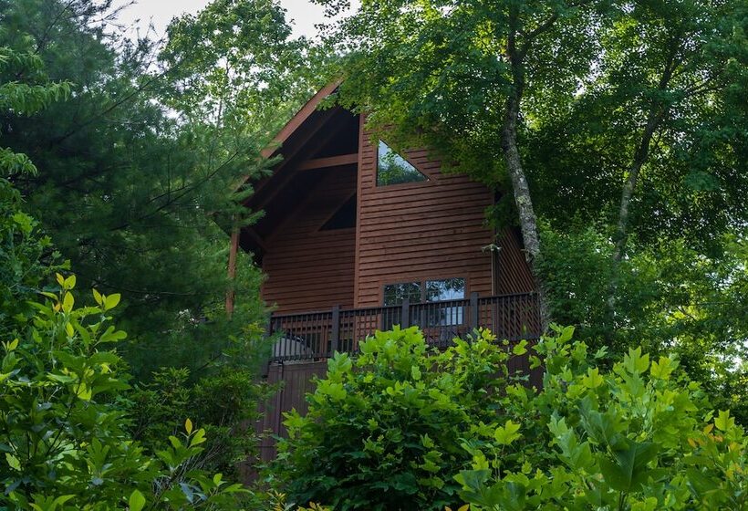 Blue Ridge Parkway Cabin Rentals