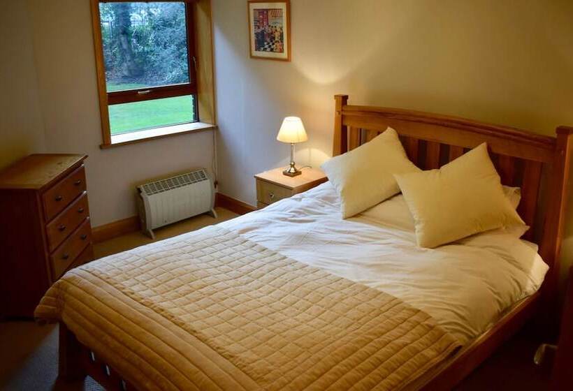 Cozy Ballsbridge Apartment