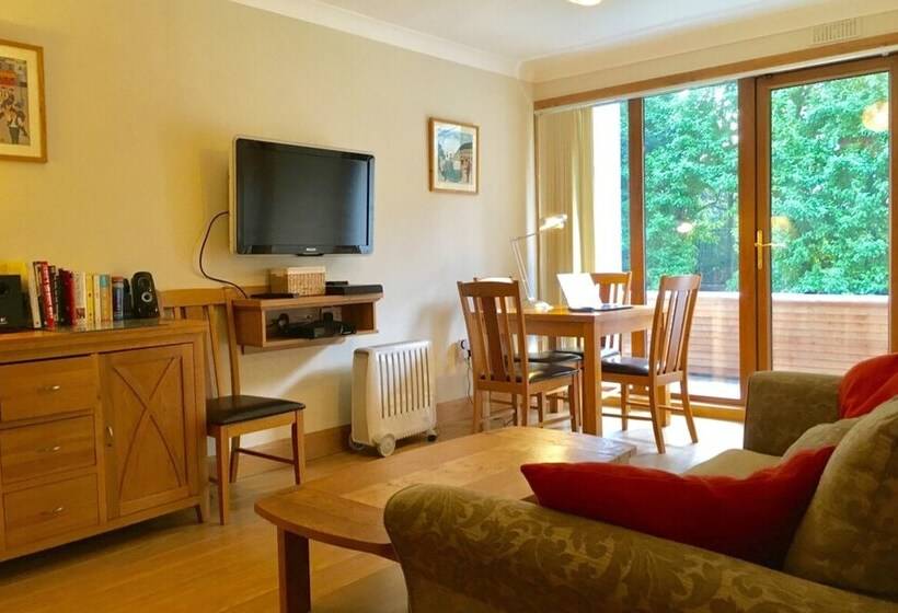 Cozy Ballsbridge Apartment